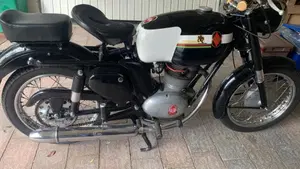 Gilera   (3)