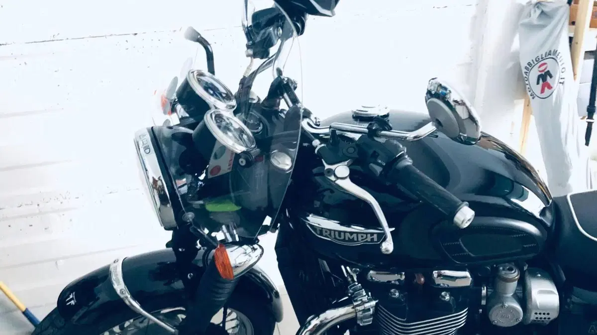 Triumph Bonneville T120 (2016 - 20)  (3)