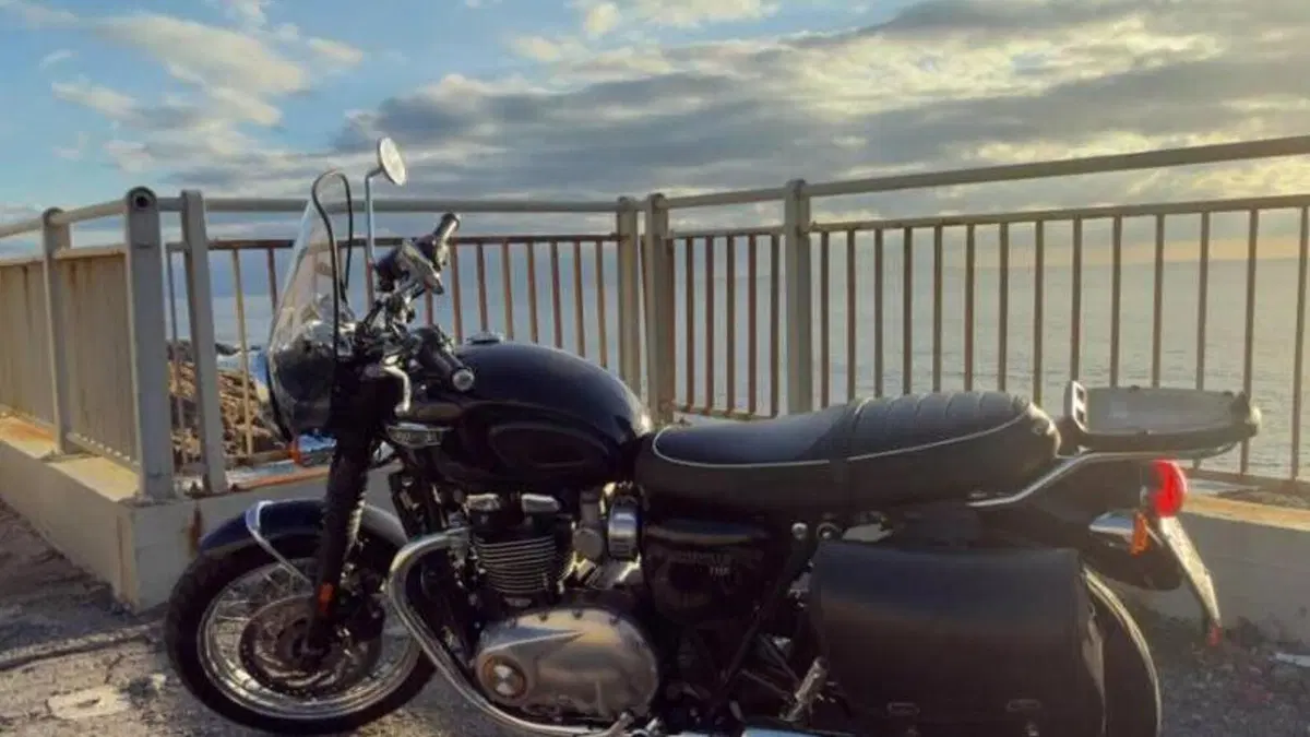 Triumph Bonneville T120 (2016 - 20)  (11)