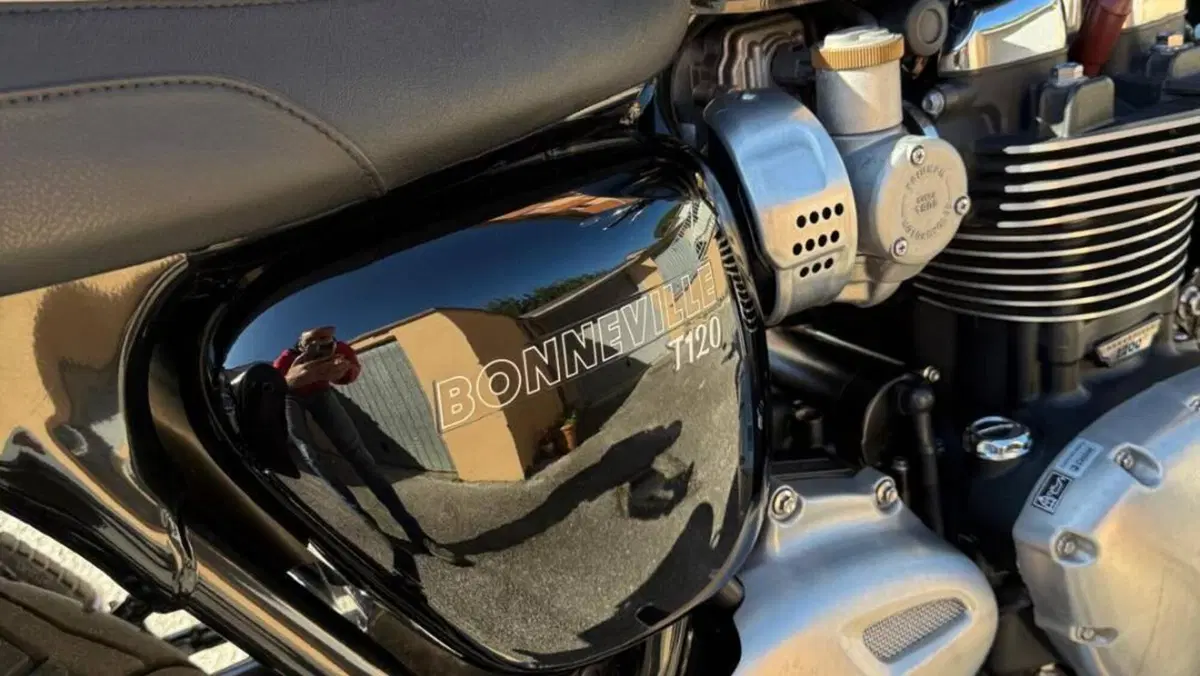 Triumph Bonneville T120 (2016 - 20)  (9)