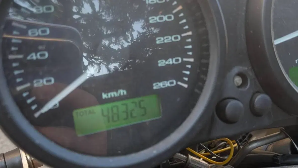 Ducati Monster 620 Dark (2003 - 06)  (8)
