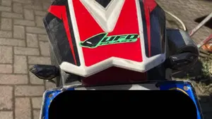 Betamotor RR 350 4T Enduro (2019)  (7)