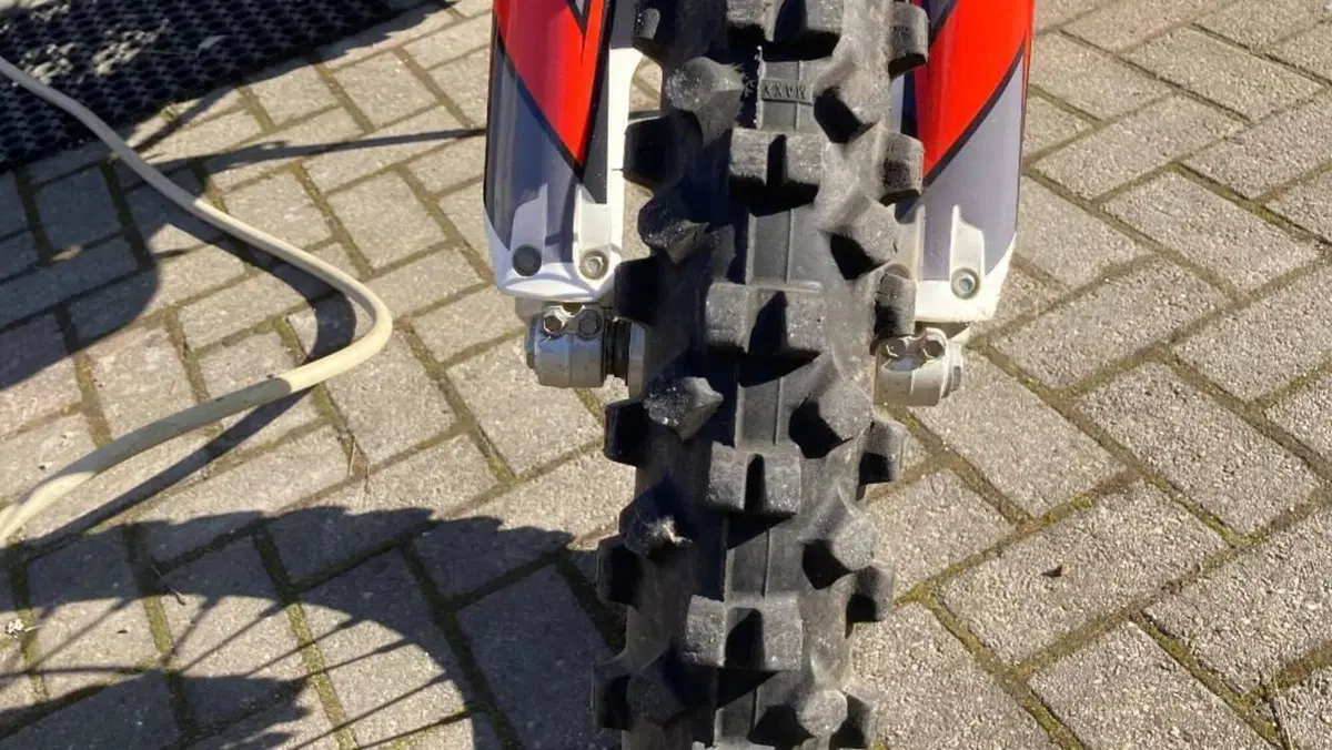 Betamotor RR 350 4T Enduro (2019)  (8)