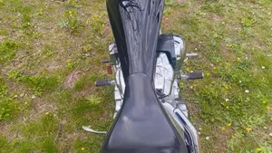 Honda VT 1300 CX (2009 - 16)  (4)