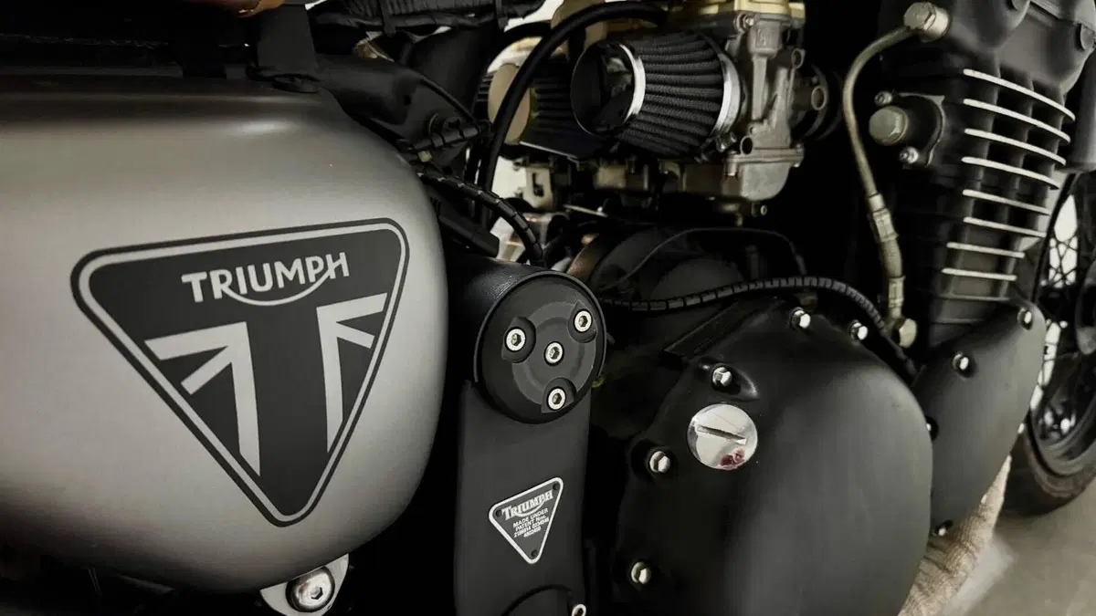 Triumph Legend TT 900 (1998 - 02)  (10)
