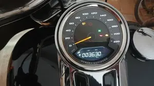 Harley-Davidson Sport Glide (2021 - 25)  (5)