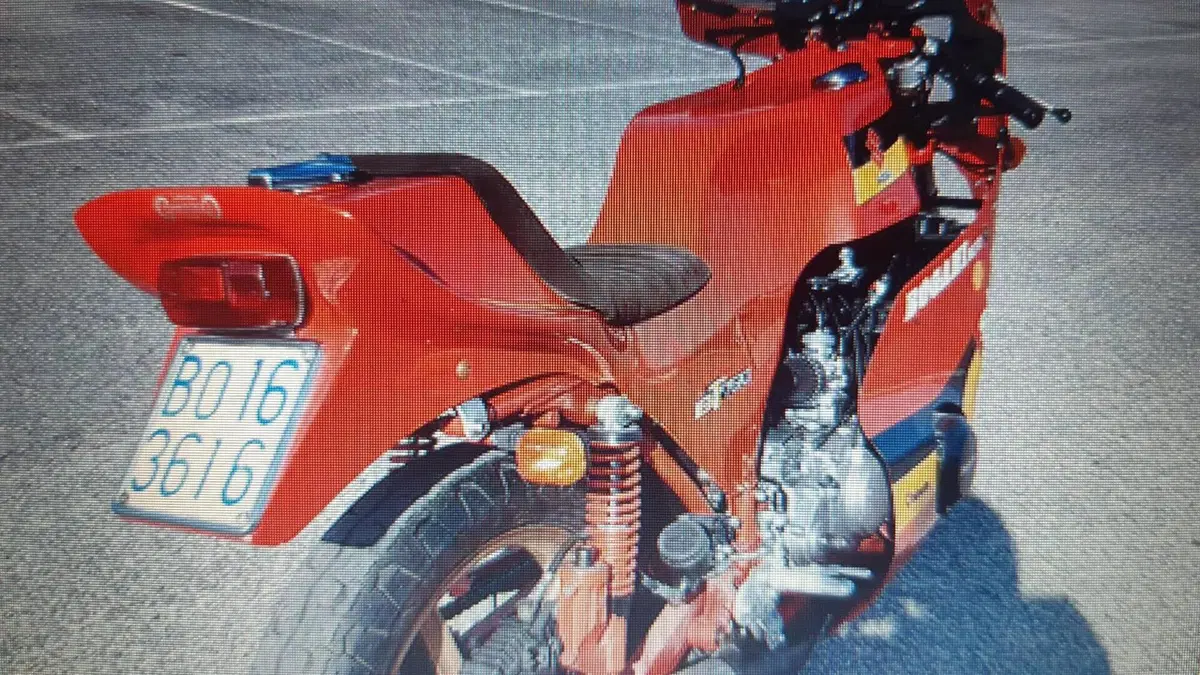 Suzuki   (2)