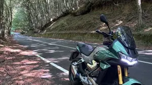 Moto Guzzi V100 Mandello S (2022 - 24)  (3)