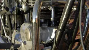 Triumph   (5)