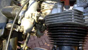 Triumph   (7)