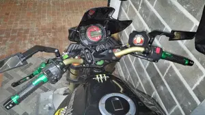 Kawasaki Z 1000 (2003 - 06)  (9)