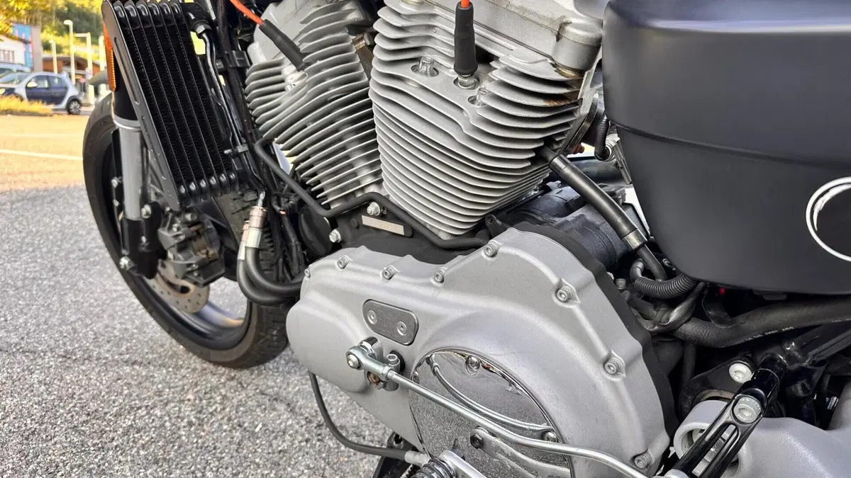 Harley-Davidson 1200 XR (2009 - 12)  (2)