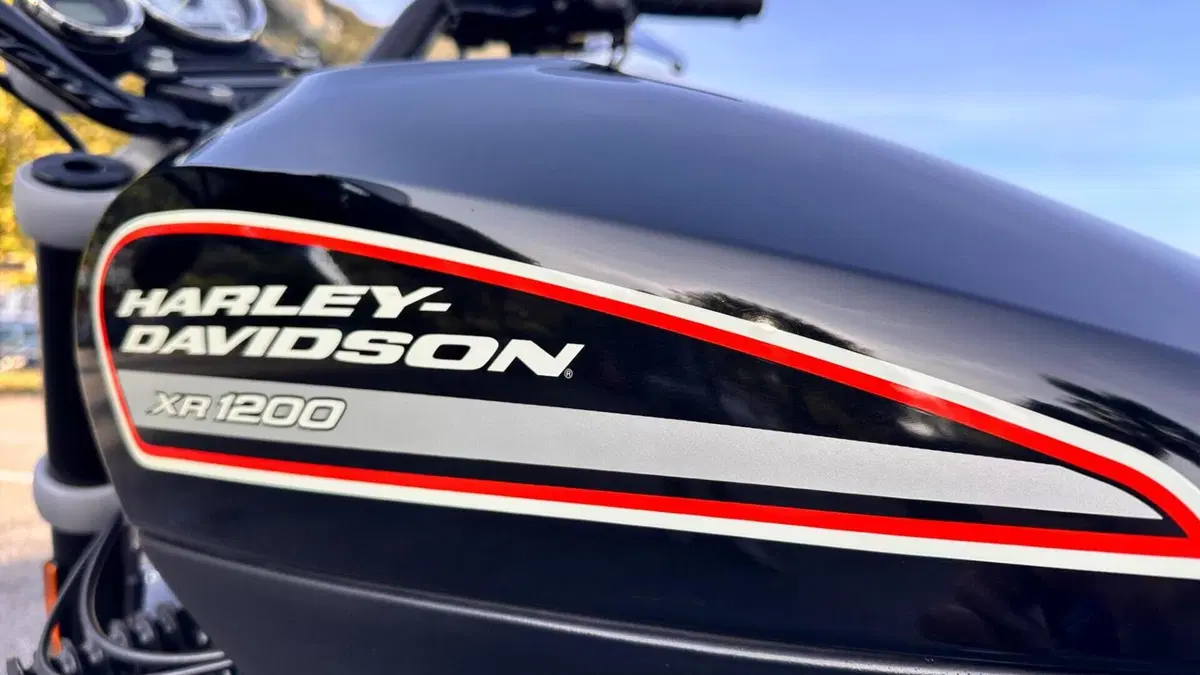 Harley-Davidson 1200 XR (2009 - 12)  (3)