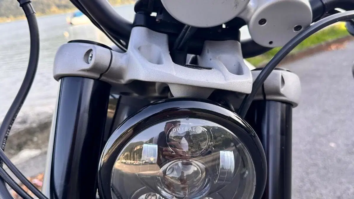Harley-Davidson 1200 XR (2009 - 12)  (5)
