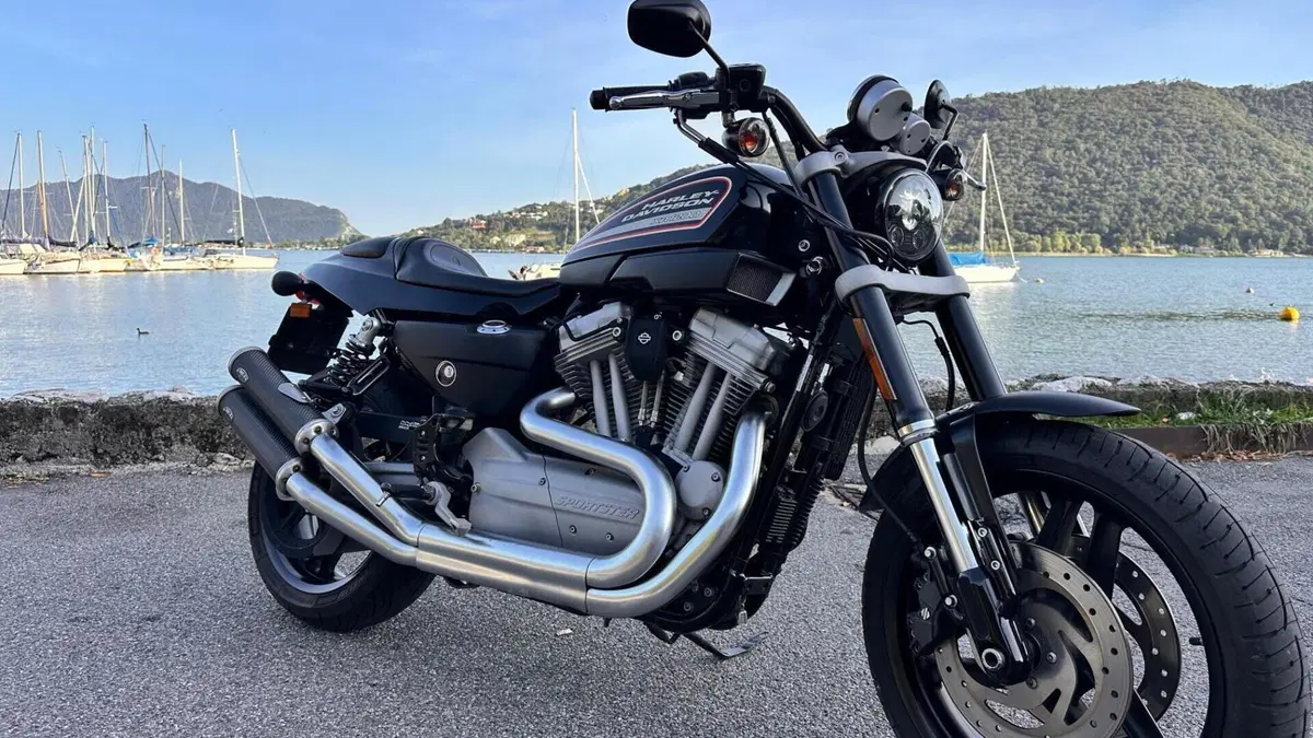 Harley-Davidson 1200 XR (2009 - 12)  (7)