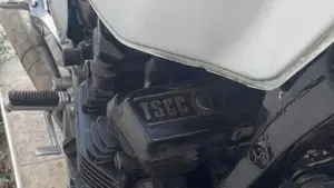 Suzuki   (12)