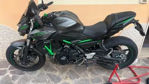 Kawasaki Z 650 (2021 - 24) 