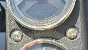 Harley-Davidson 114 Low Rider S (2021) - FXLRS  (8)
