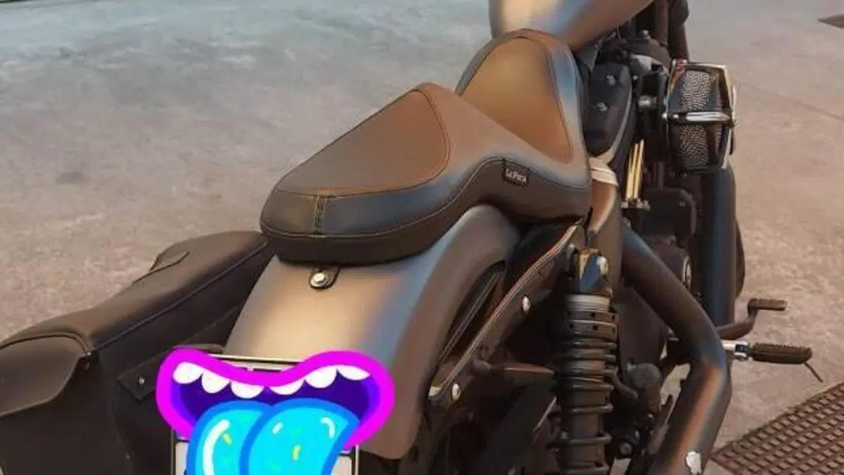 Harley-Davidson 883 Iron (2014 - 16) - XL 883N  (2)