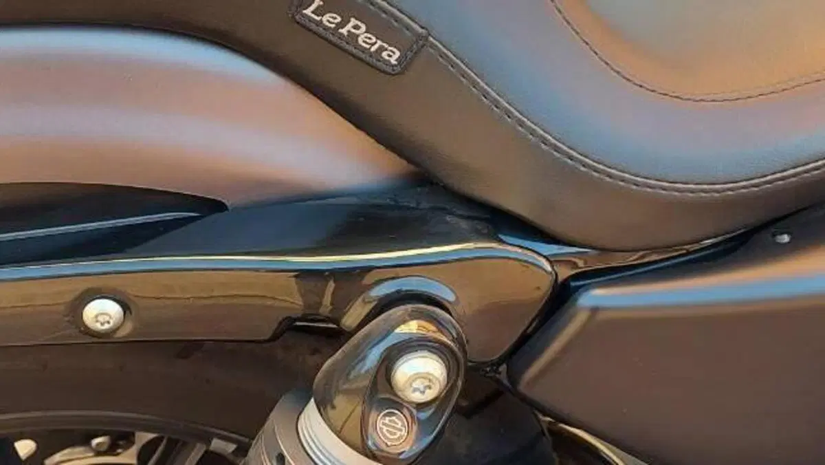 Harley-Davidson 883 Iron (2014 - 16) - XL 883N  (6)
