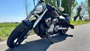 Harley-Davidson 1250 V-Rod Muscle (2009 - 17) - VRSCF 