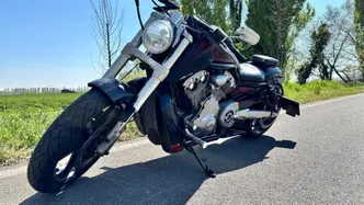 Harley-Davidson 1250 V-Rod Muscle (2009 - 17) - VRSCF usata