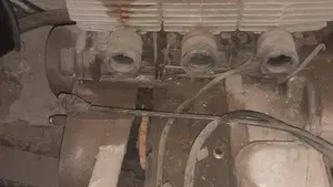 Suzuki   (11)