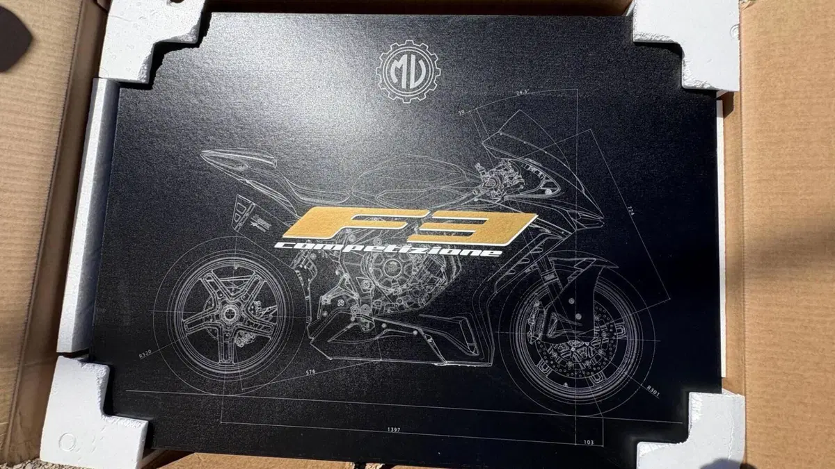 MV Agusta F3 800 Competizione (2025 - 26)  (12)