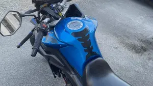 Over Tourer 250 (2015 - 16)  (6)
