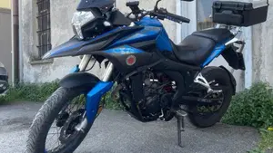 Over Tourer 250 (2015 - 16)  (9)