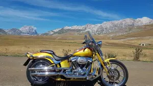 Harley-Davidson 1800 Springer (2009 - 12) - FXSTSSE 