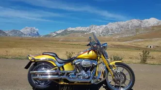Harley-Davidson 1800 Springer (2009 - 12) - FXSTSSE usata