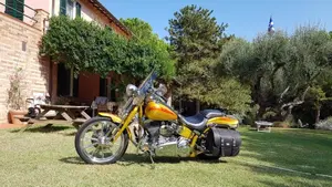 Harley-Davidson 1800 Springer (2009 - 12) - FXSTSSE  (2)