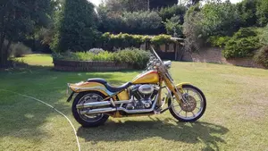 Harley-Davidson 1800 Springer (2009 - 12) - FXSTSSE  (3)