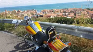 Harley-Davidson 1800 Springer (2009 - 12) - FXSTSSE  (5)