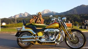 Harley-Davidson 1800 Springer (2009 - 12) - FXSTSSE  (6)