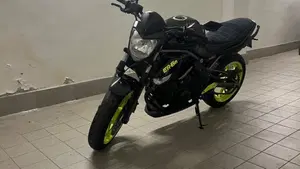 Kawasaki ER-6N (2006 - 09)  (2)