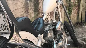 Harley-Davidson   (2)