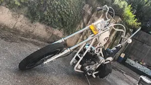 Harley-Davidson  