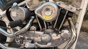 Harley-Davidson   (3)