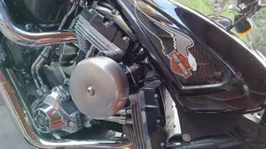 Harley-Davidson 1584 Blackline (2011 - 13) - FXS  (2)