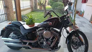 Harley-Davidson 1584 Blackline (2011 - 13) - FXS  (3)