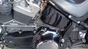 Harley-Davidson 1584 Blackline (2011 - 13) - FXS  (4)