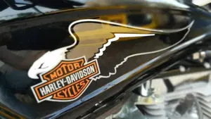 Harley-Davidson 1584 Blackline (2011 - 13) - FXS  (6)