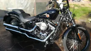Harley-Davidson 1584 Blackline (2011 - 13) - FXS  (7)