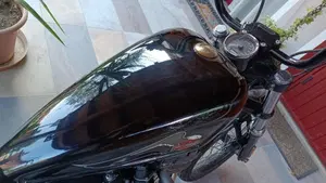 Harley-Davidson 1584 Blackline (2011 - 13) - FXS  (8)