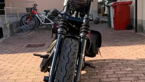 Harley-Davidson XL 1200N Nightster (2008 - 12)  (3)
