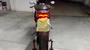 Aprilia RS 660 (2020 - 24)  (5)