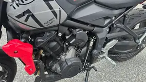 Triumph Trident 660 (2021 - 24) 
