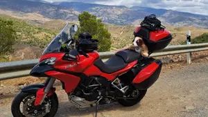 Ducati Multistrada 1200 S (2013 - 14) 